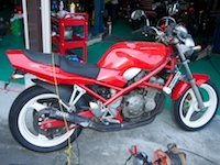 BANDIT250