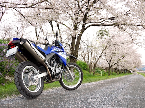 XT660R