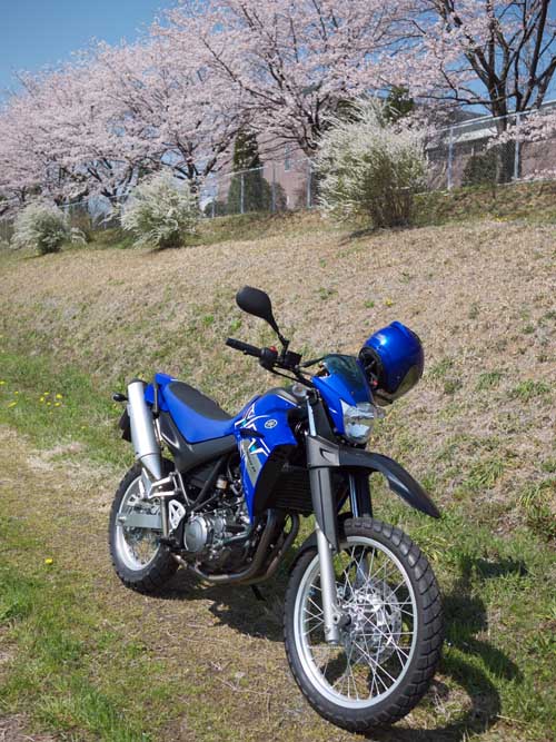 XT660R