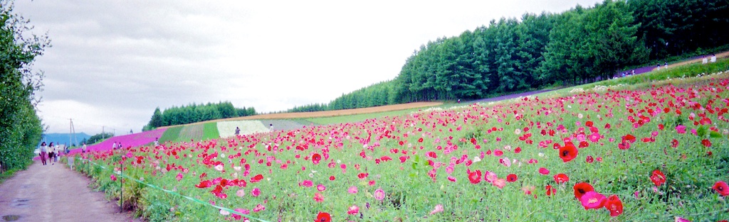 中富良野にて