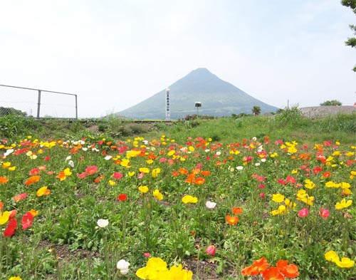西大山駅と開聞岳